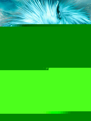 吞噬星空：天狼之主